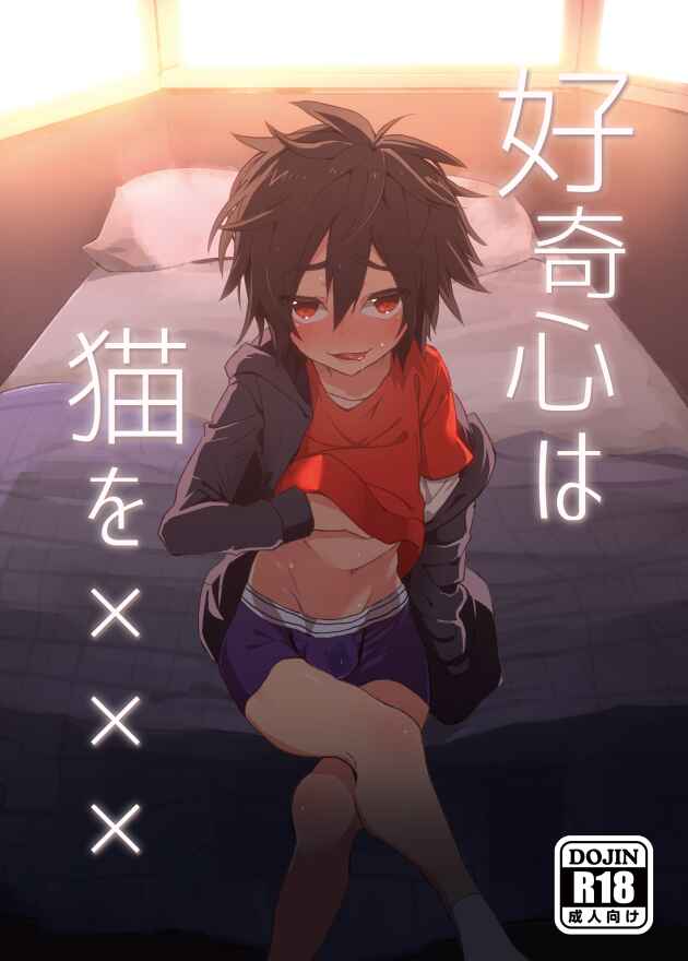 Page 1 Chapter Unknown_280c Big Hero 6 - Koukishin wa Neko o XXX (Doujinshi)
