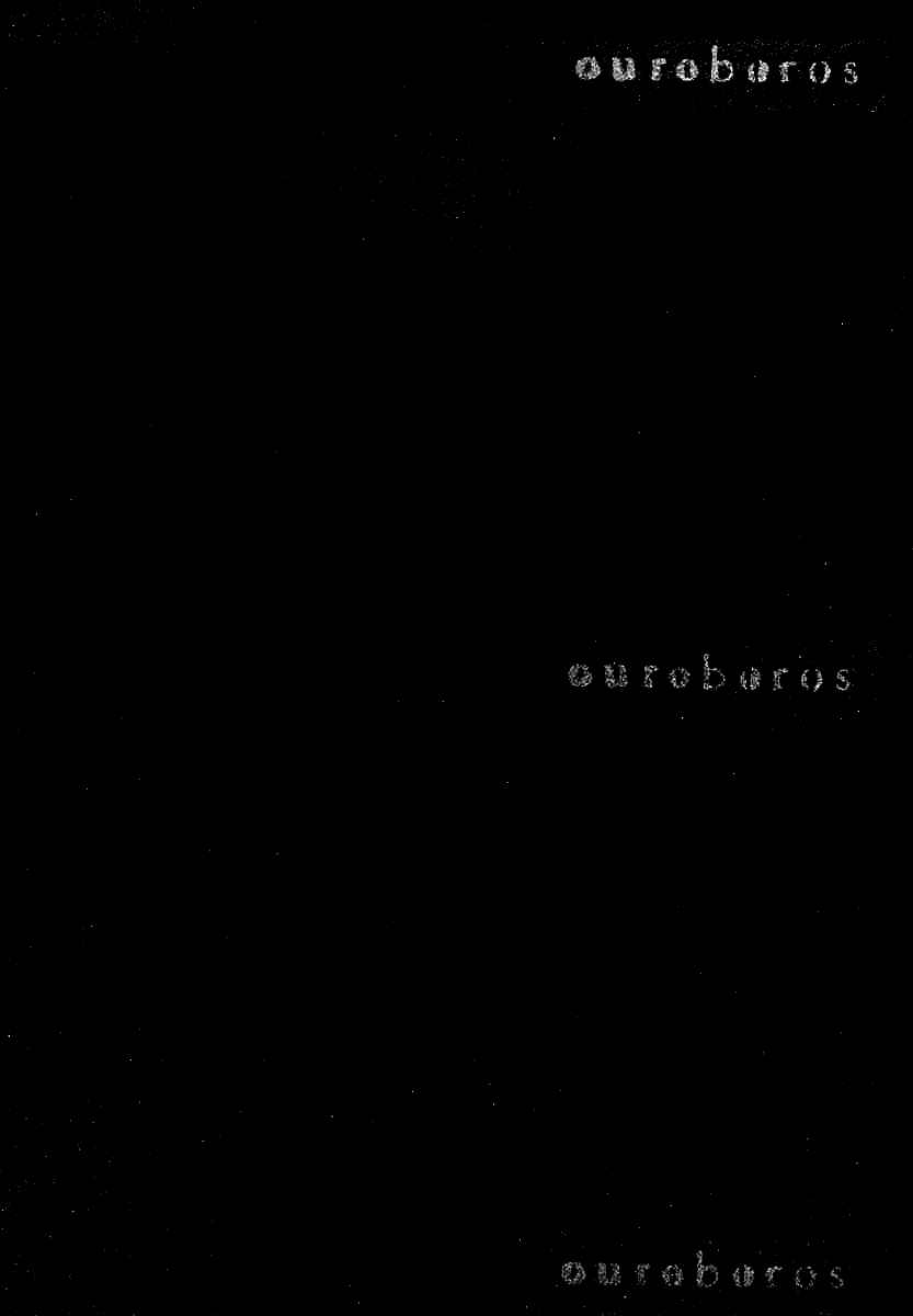 Page 3 Chapter 68 Ouroboros
