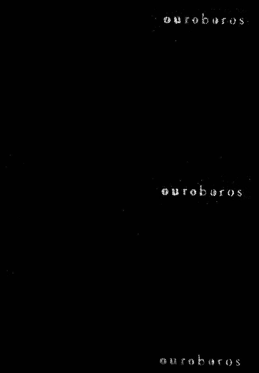 Page 3 Chapter 63 Ouroboros