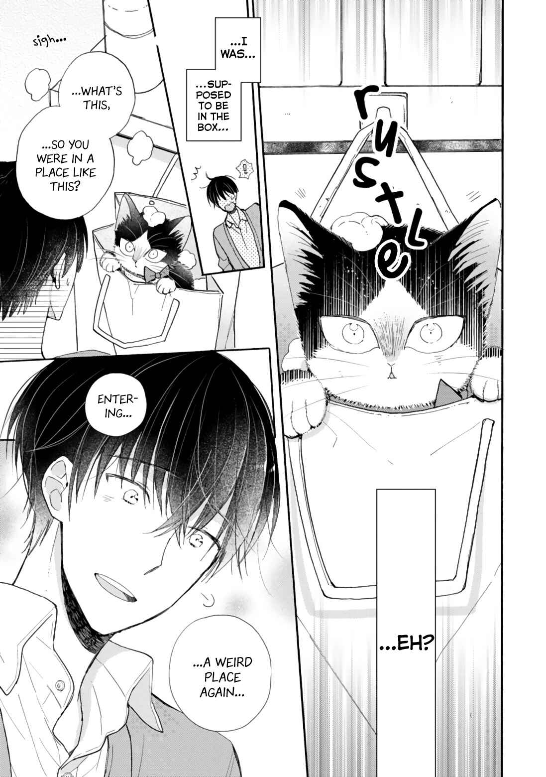 Page 15 Chapter 16.4 My Roommate Is a Cat