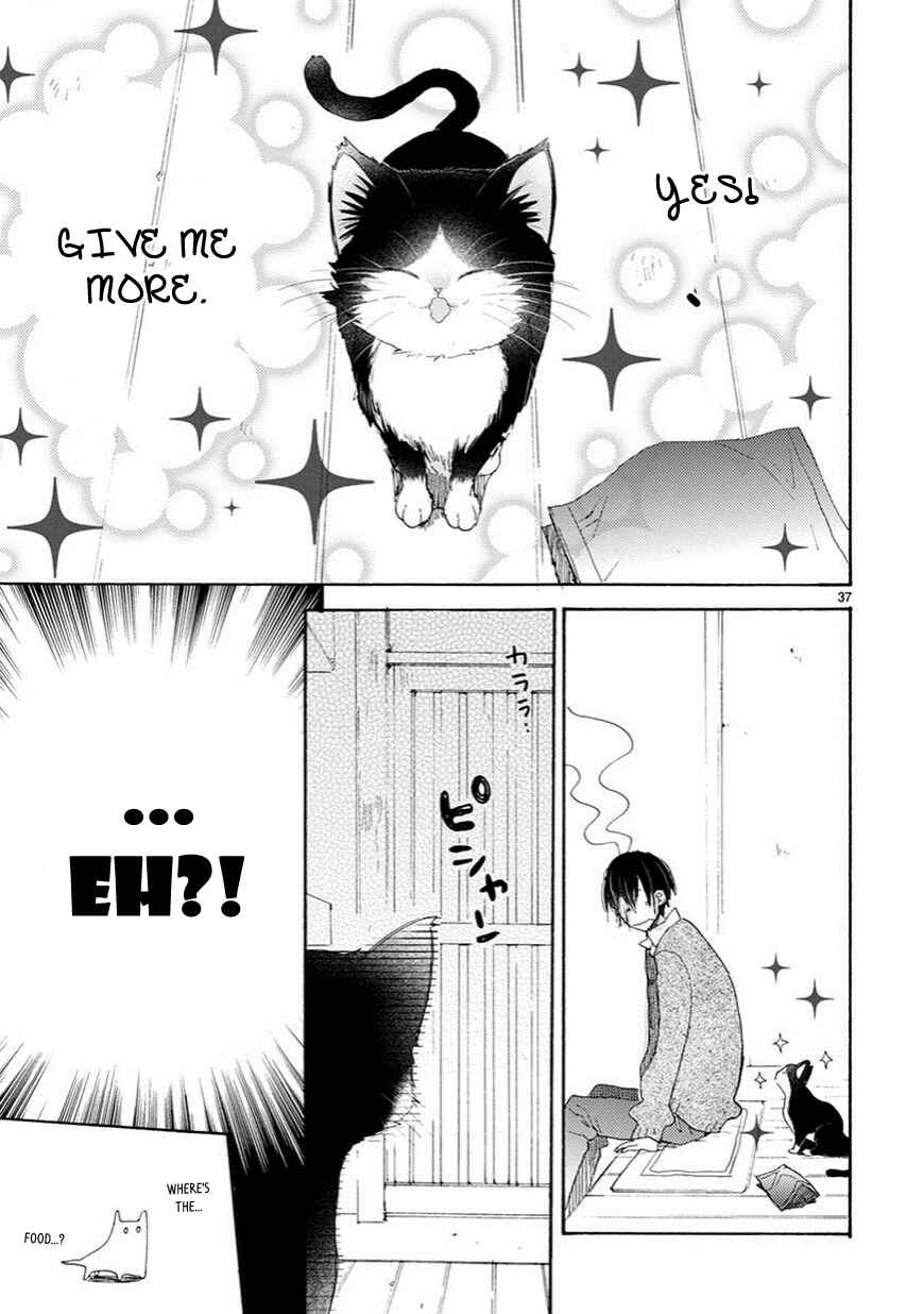 Page 11 Chapter 2.5 My Roommate Is a Cat
