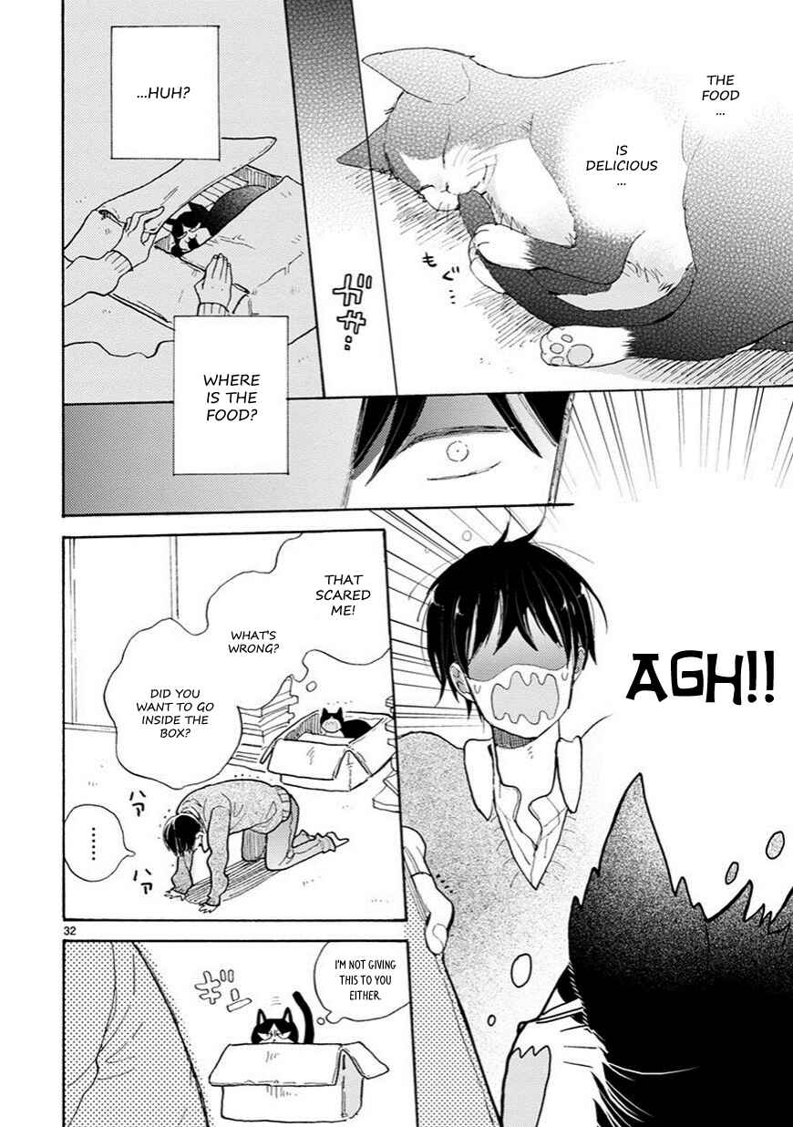 Page 6 Chapter 2.5 My Roommate Is a Cat