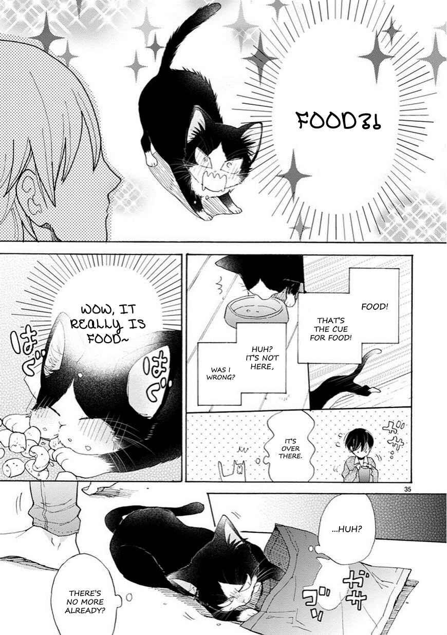 Page 9 Chapter 2.5 My Roommate Is a Cat