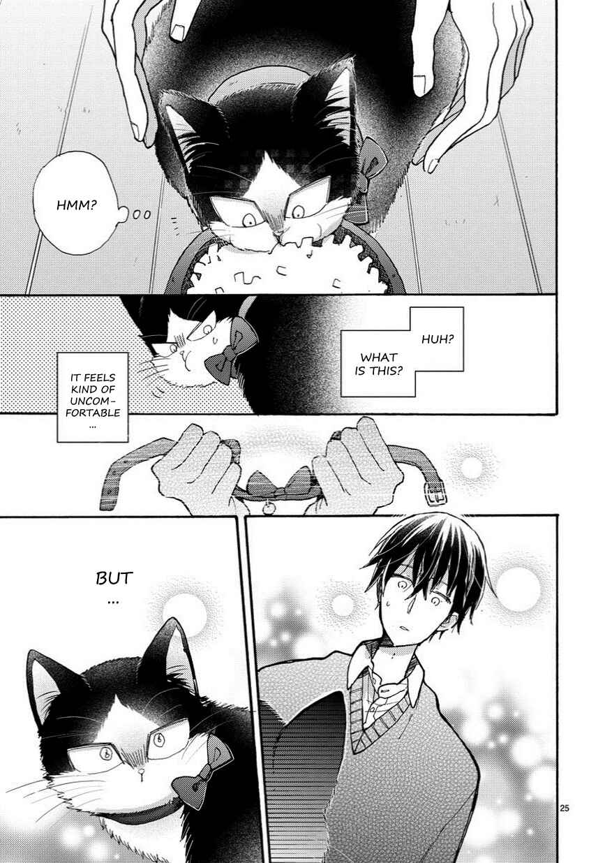 Page 6 Chapter 6.5 My Roommate Is a Cat