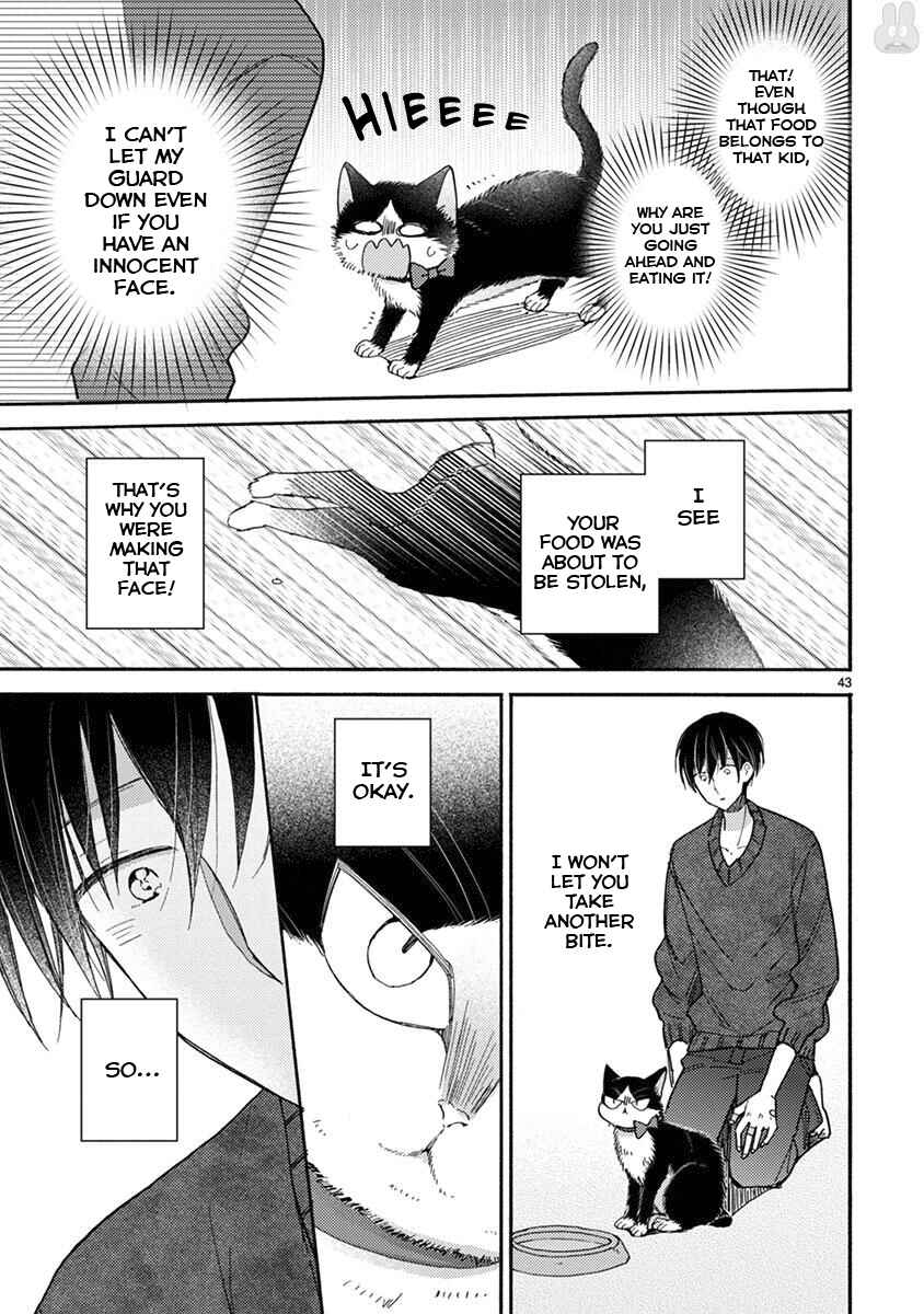 Page 12 Chapter 15.2 My Roommate Is a Cat