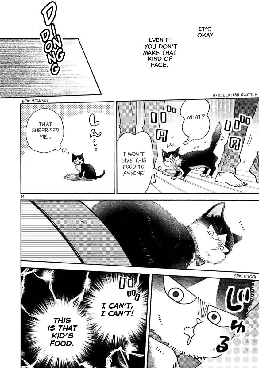 Page 13 Chapter 15.2 My Roommate Is a Cat