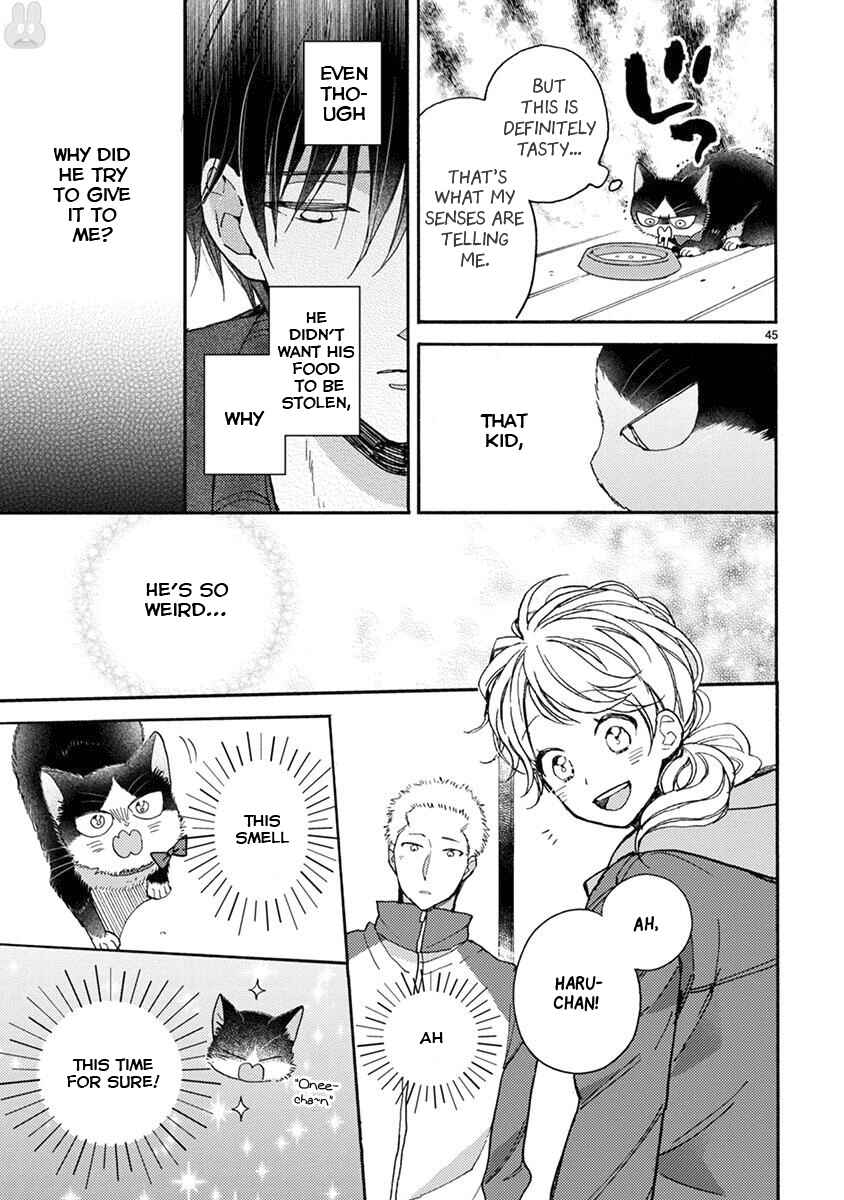 Page 14 Chapter 15.2 My Roommate Is a Cat