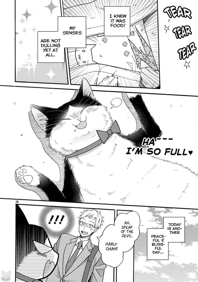 Page 7 Chapter 15.2 My Roommate Is a Cat