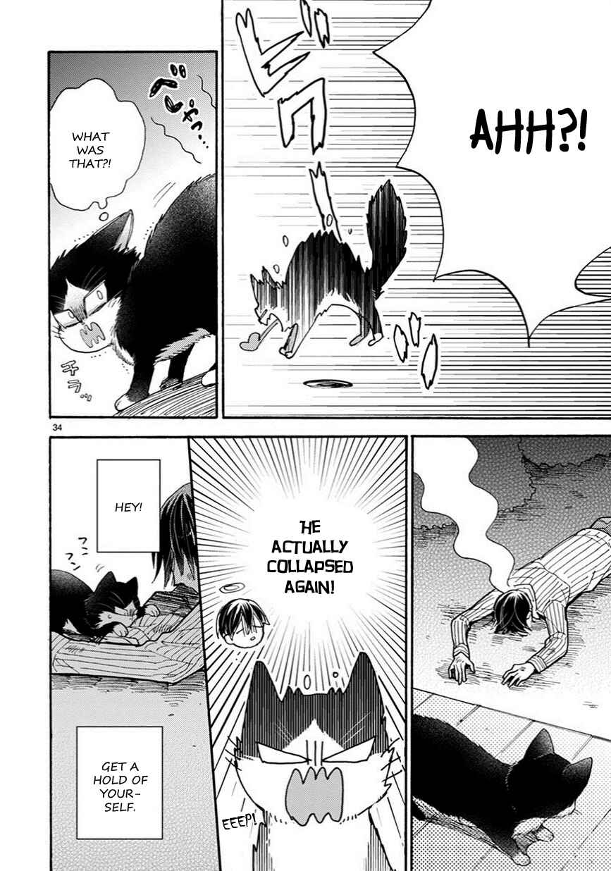 Page 11 Chapter 5.5 My Roommate Is a Cat