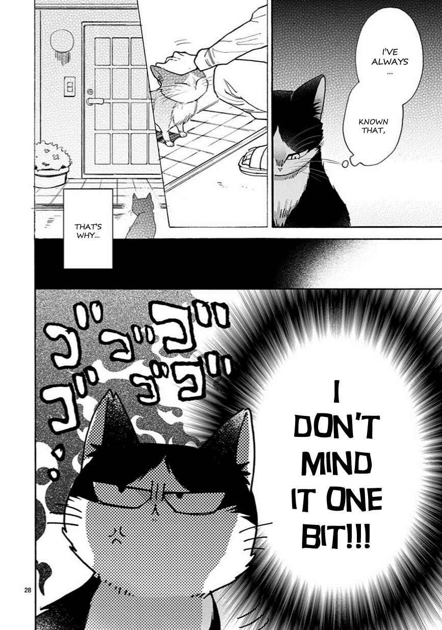 Page 5 Chapter 5.5 My Roommate Is a Cat