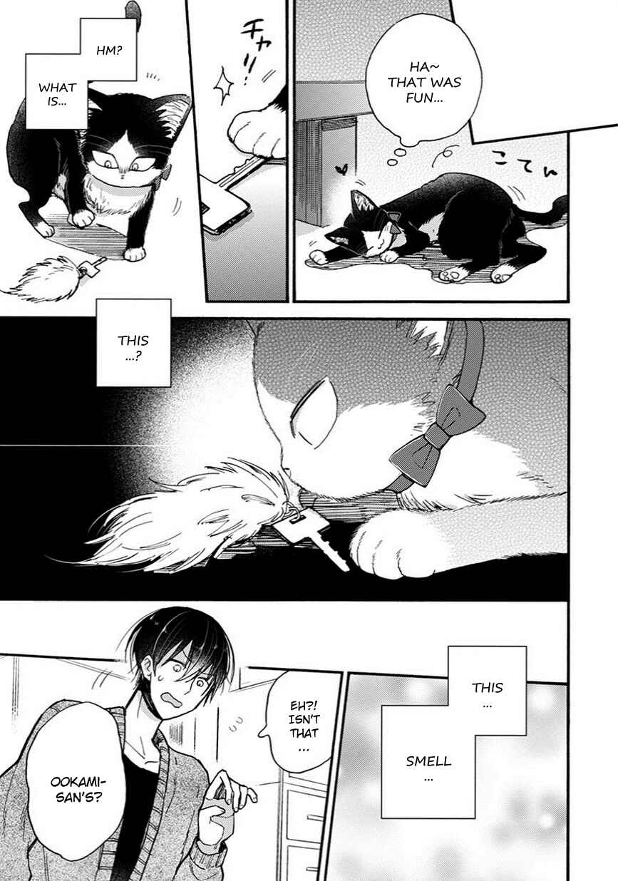 Page 12 Chapter 8.5 My Roommate Is a Cat