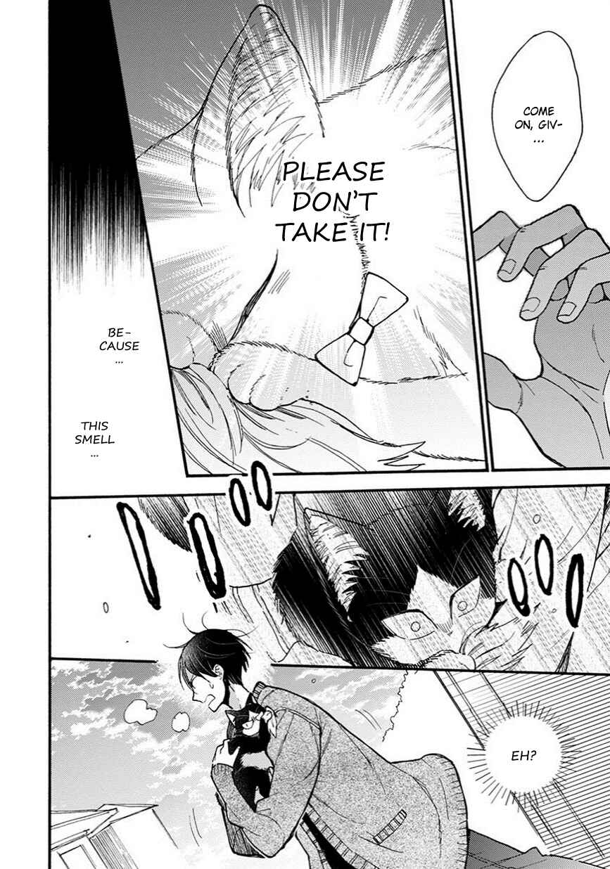 Page 13 Chapter 8.5 My Roommate Is a Cat