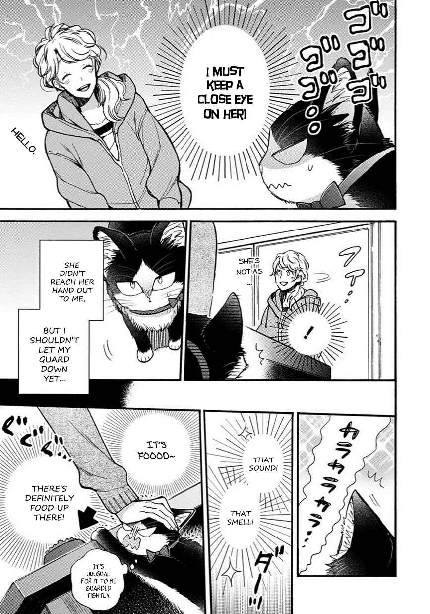 Page 4 Chapter 8.5 My Roommate Is a Cat
