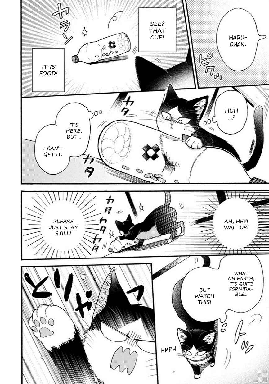 Page 5 Chapter 8.5 My Roommate Is a Cat