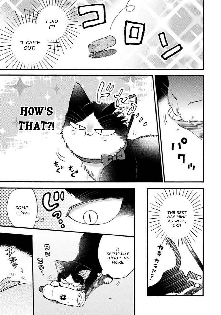 Page 6 Chapter 8.5 My Roommate Is a Cat