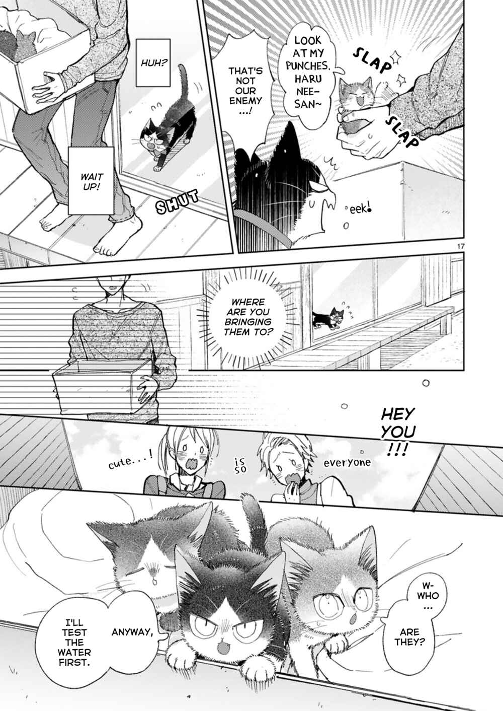 Page 17 Chapter 20.2 My Roommate Is a Cat
