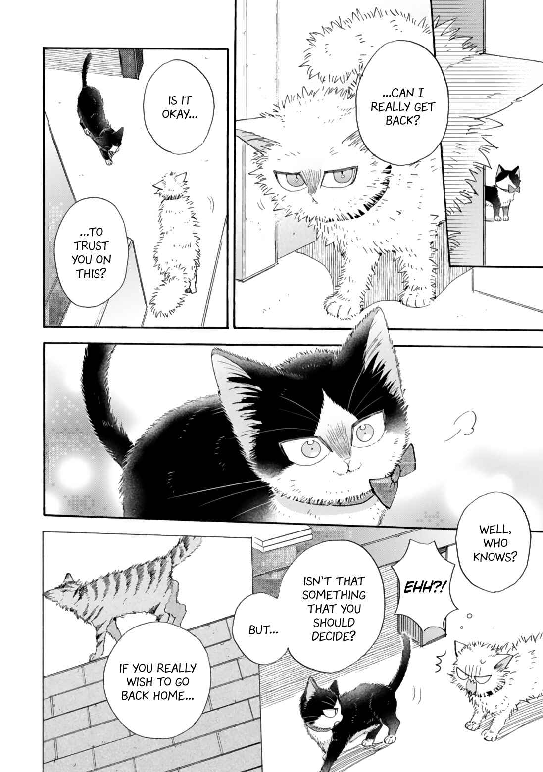 Page 14 Chapter 17.2 My Roommate Is a Cat