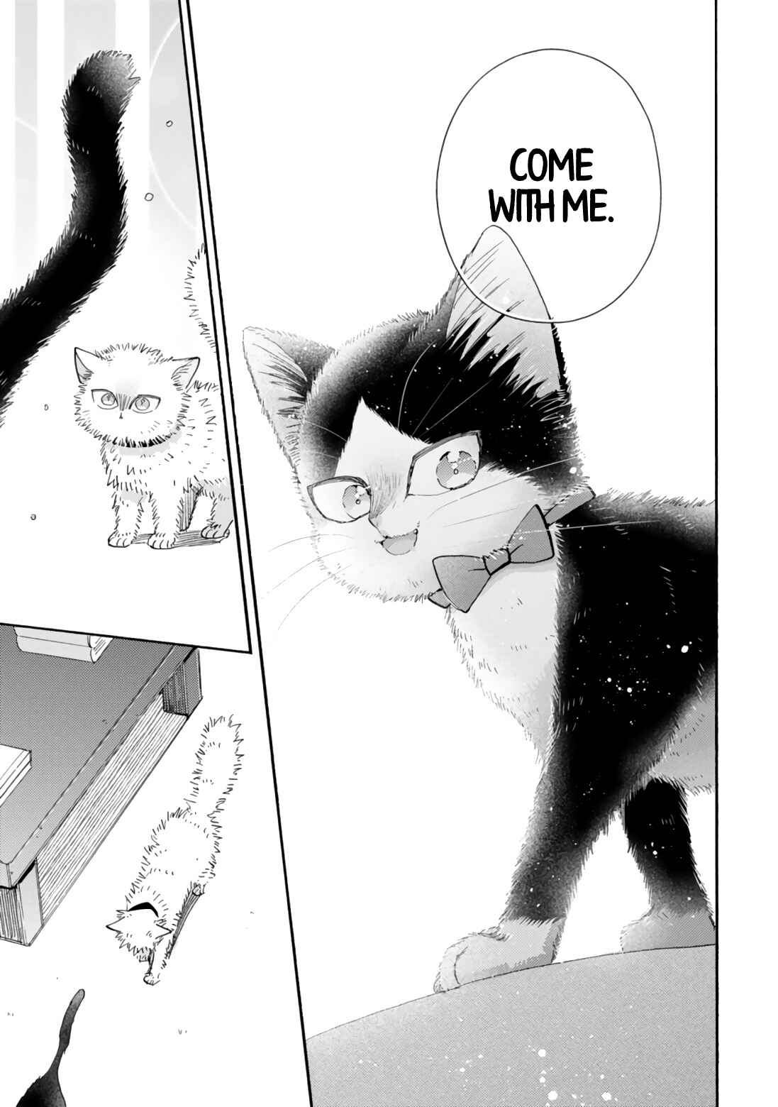 Page 15 Chapter 17.2 My Roommate Is a Cat