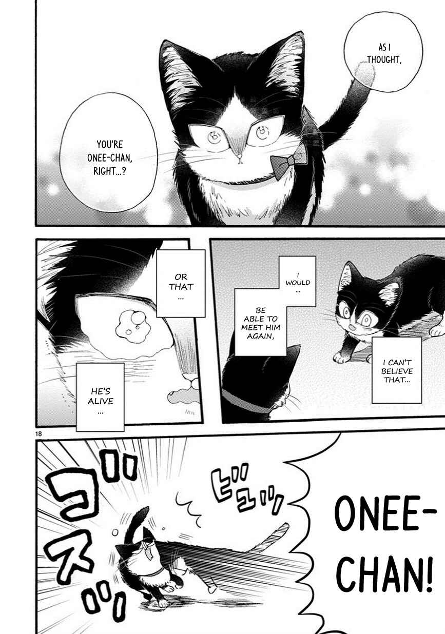 Page 3 Chapter 9.5 My Roommate Is a Cat