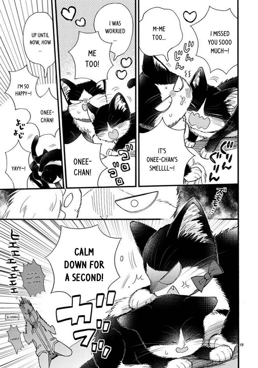Page 4 Chapter 9.5 My Roommate Is a Cat