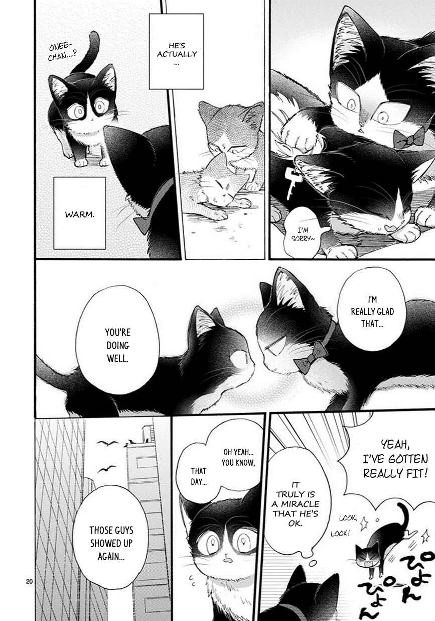 Page 5 Chapter 9.5 My Roommate Is a Cat