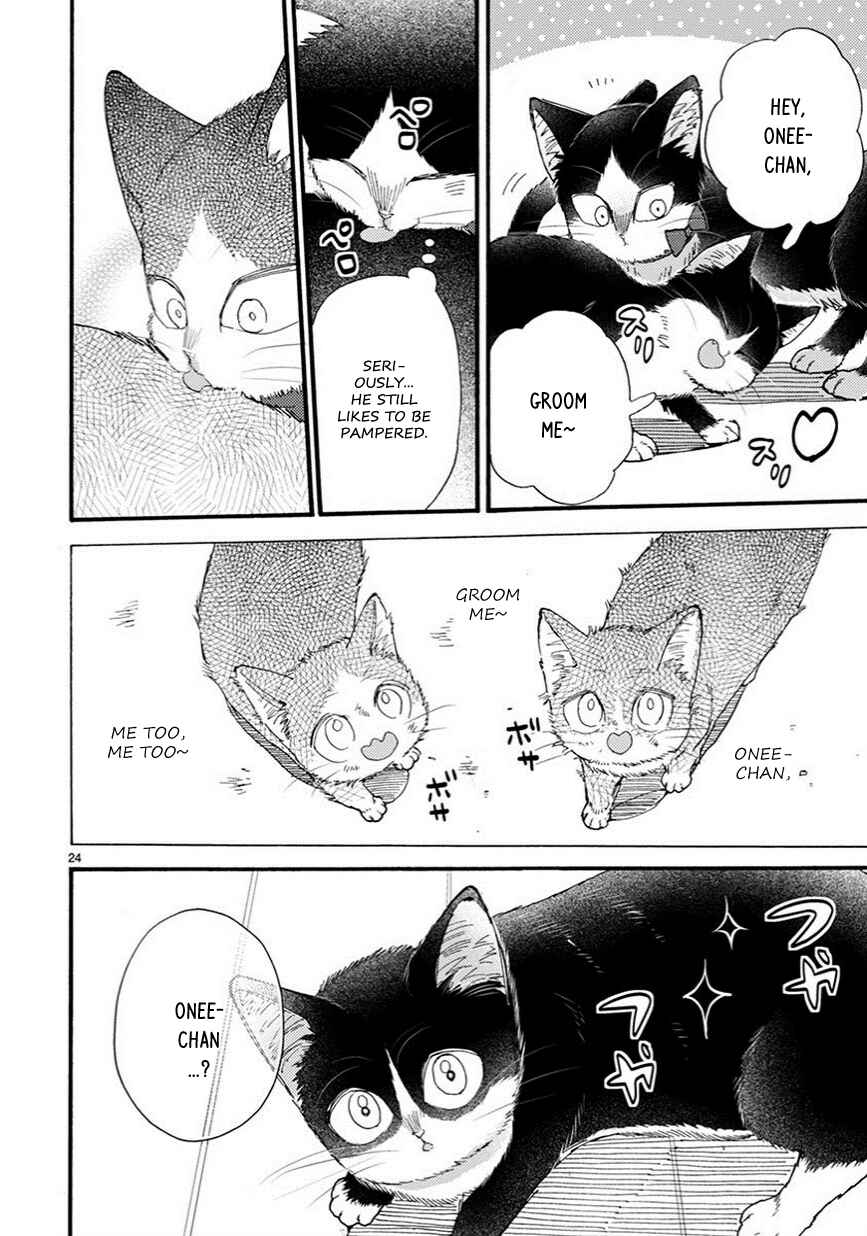 Page 9 Chapter 9.5 My Roommate Is a Cat