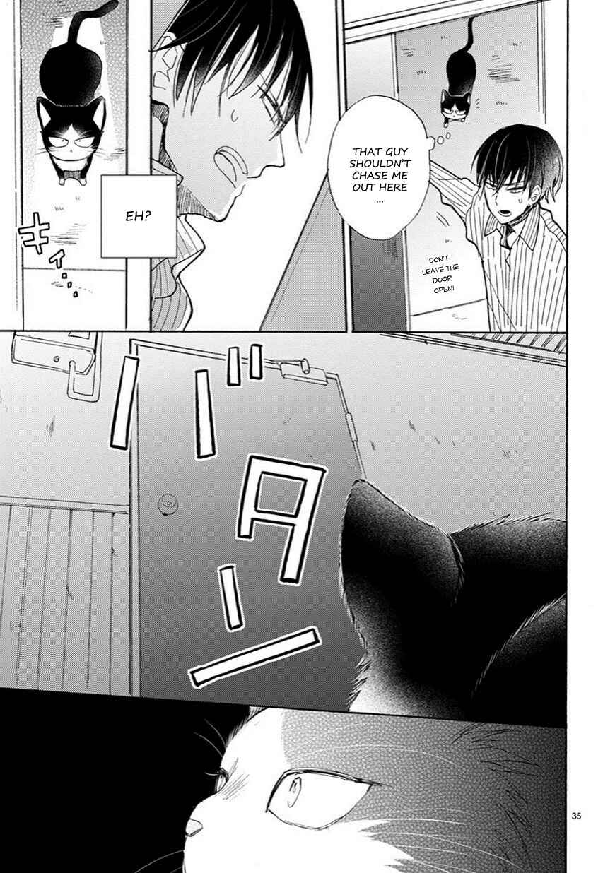 Page 14 Chapter 4.5 My Roommate Is a Cat