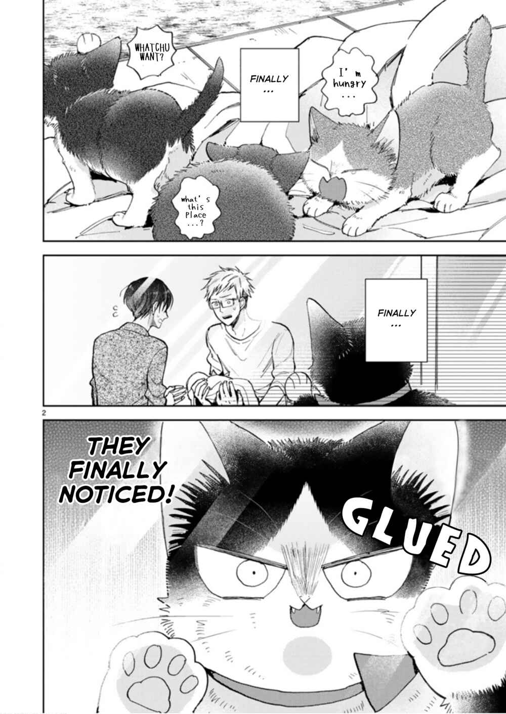 Page 2 Chapter 19.3 My Roommate Is a Cat