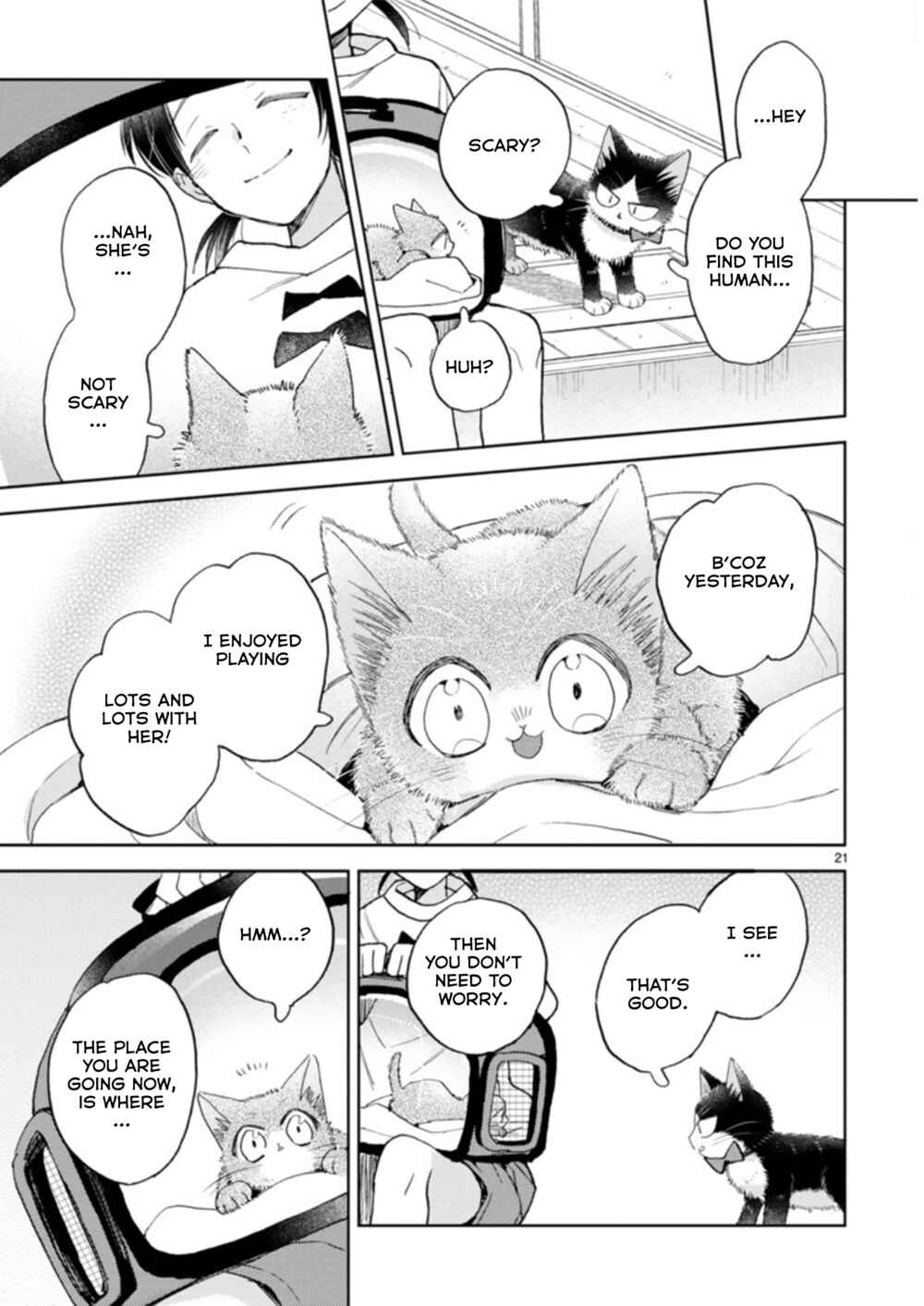 Page 21 Chapter 19.3 My Roommate Is a Cat
