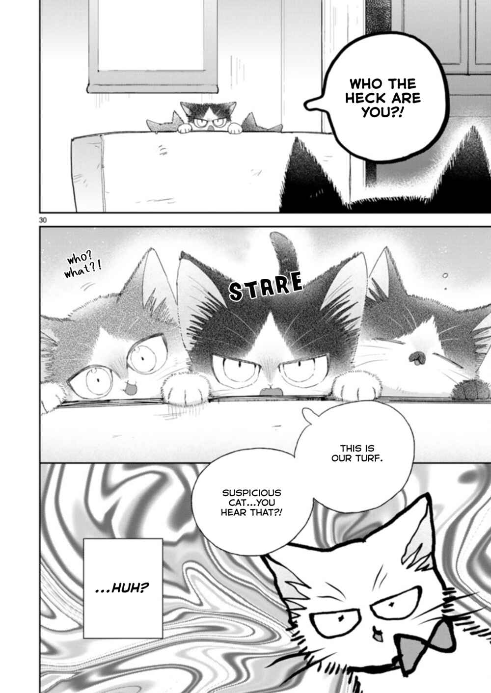 Page 30 Chapter 19.3 My Roommate Is a Cat