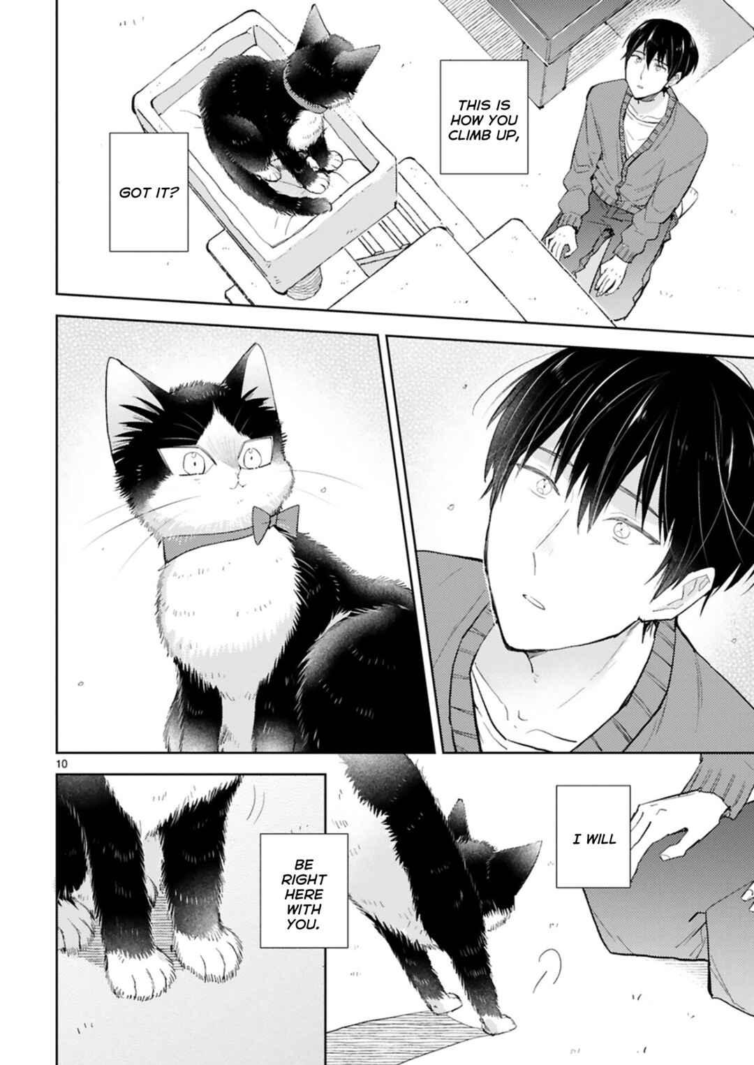 Page 10 Chapter 24.2 My Roommate Is a Cat