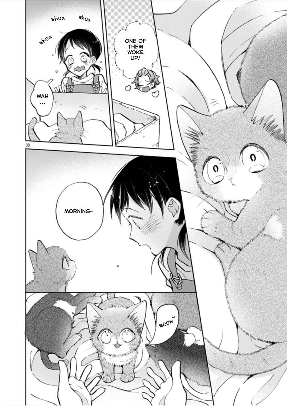 Page 14 Chapter 19.2 My Roommate Is a Cat