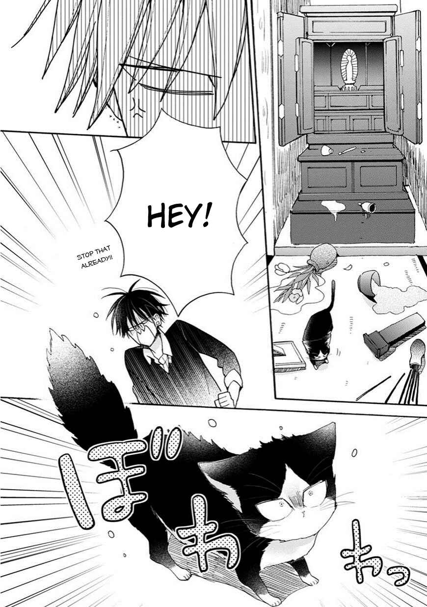 Page 5 Chapter 4 My Roommate Is a Cat