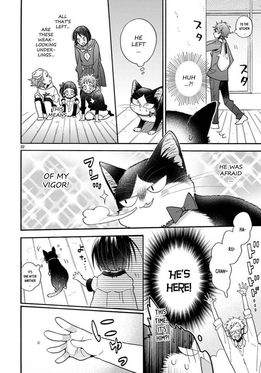 Page 5 Chapter 11.5 My Roommate Is a Cat