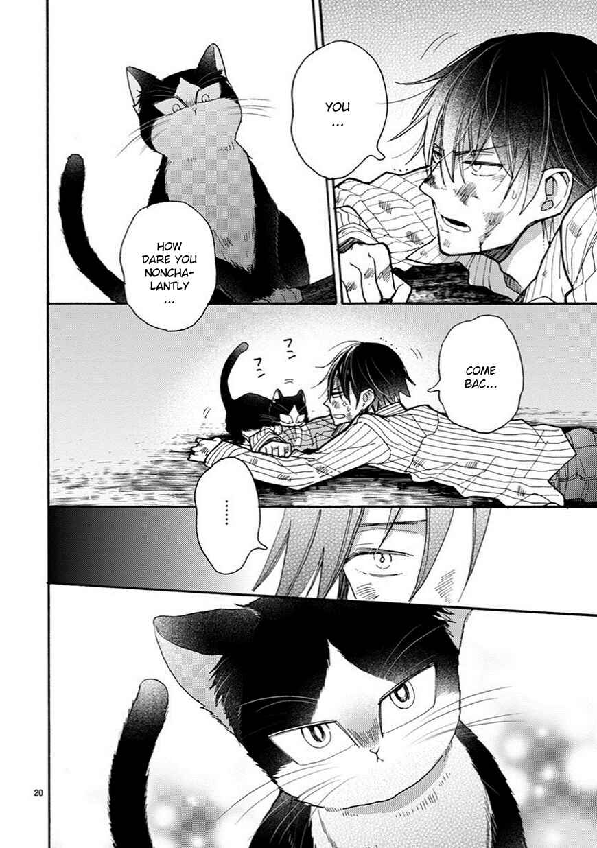 Page 8 Chapter 5.2 My Roommate Is a Cat