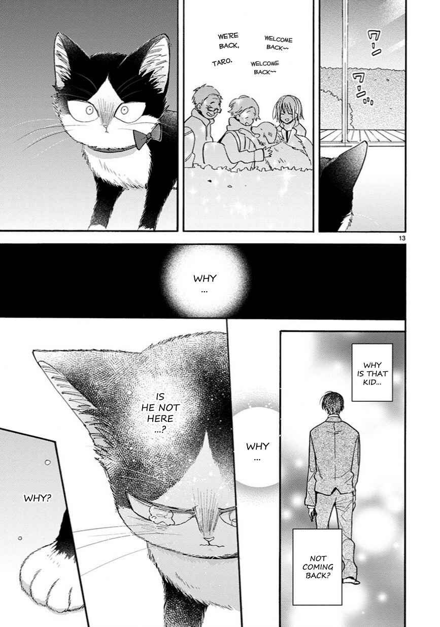 Page 14 Chapter 12 My Roommate Is a Cat