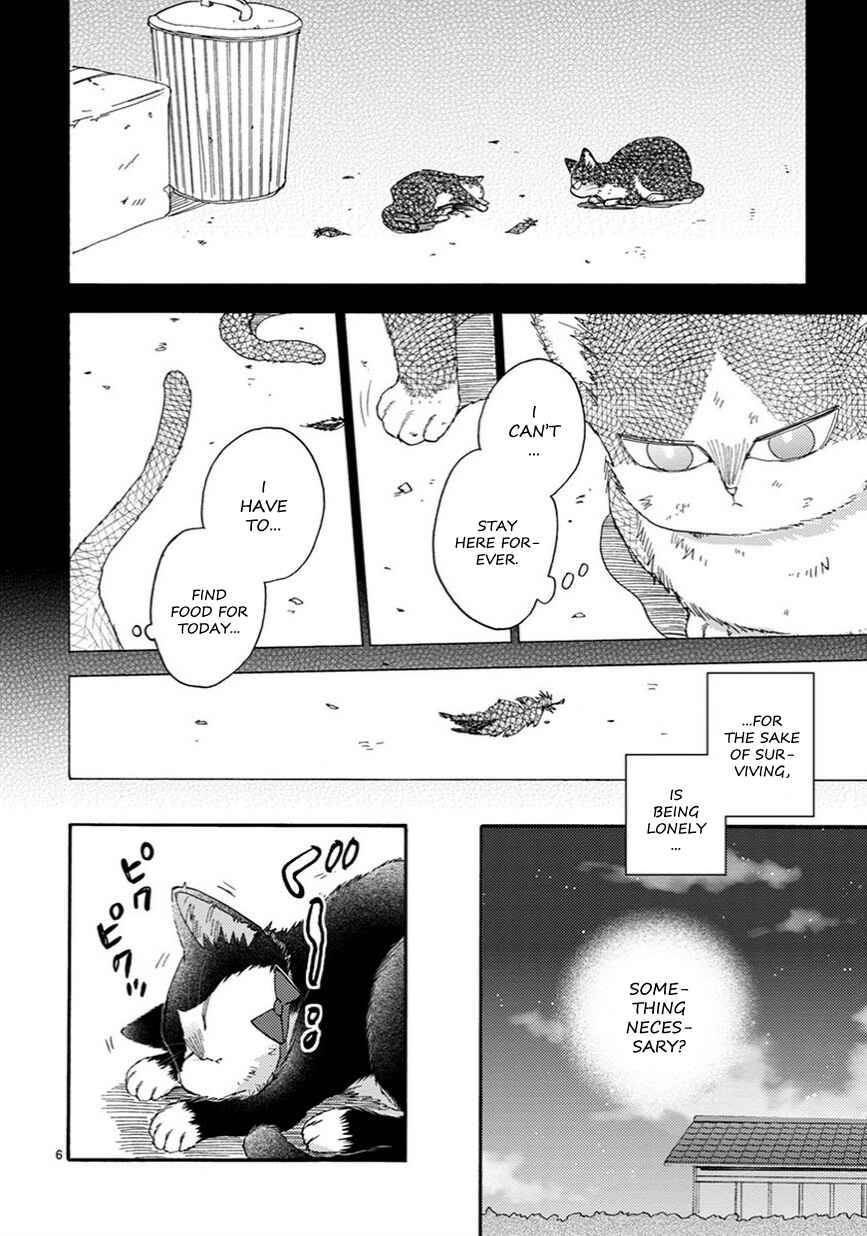 Page 7 Chapter 12 My Roommate Is a Cat