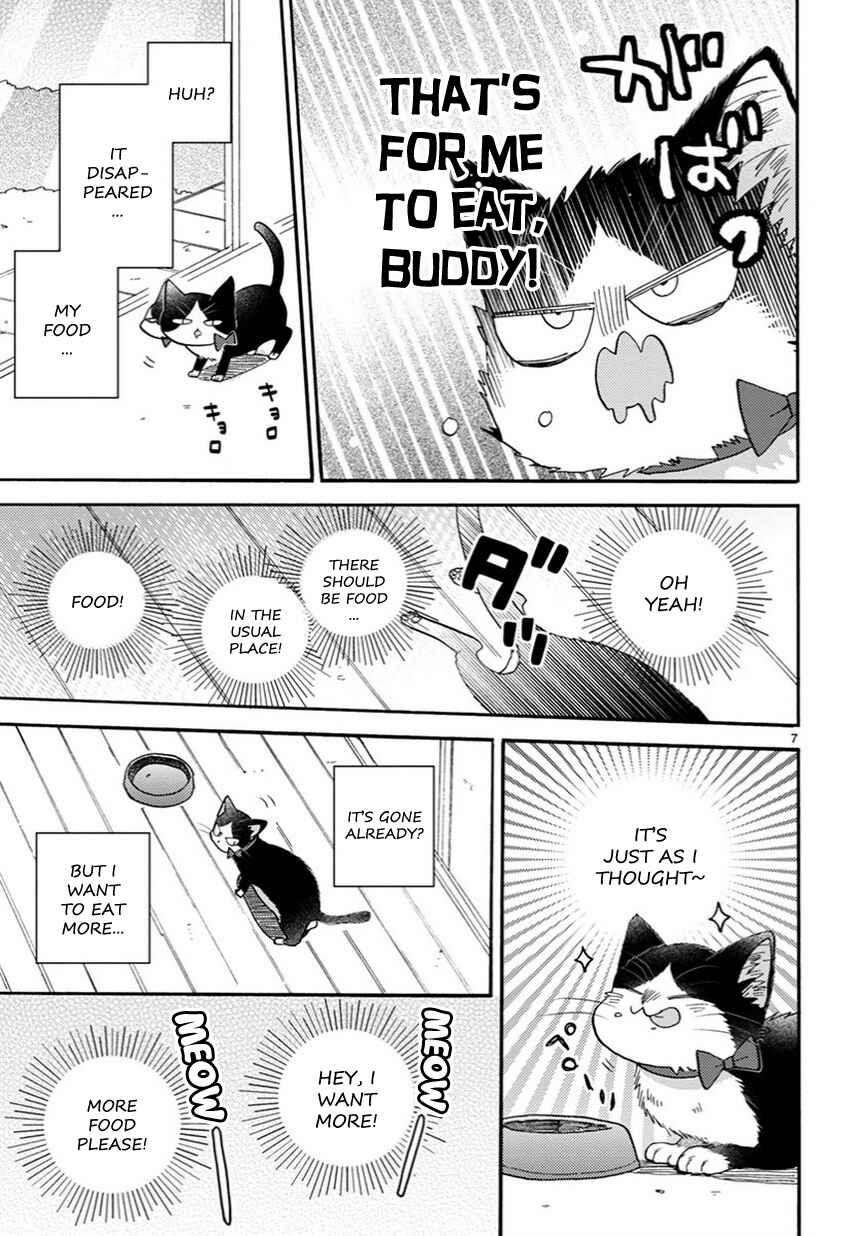 Page 8 Chapter 12 My Roommate Is a Cat