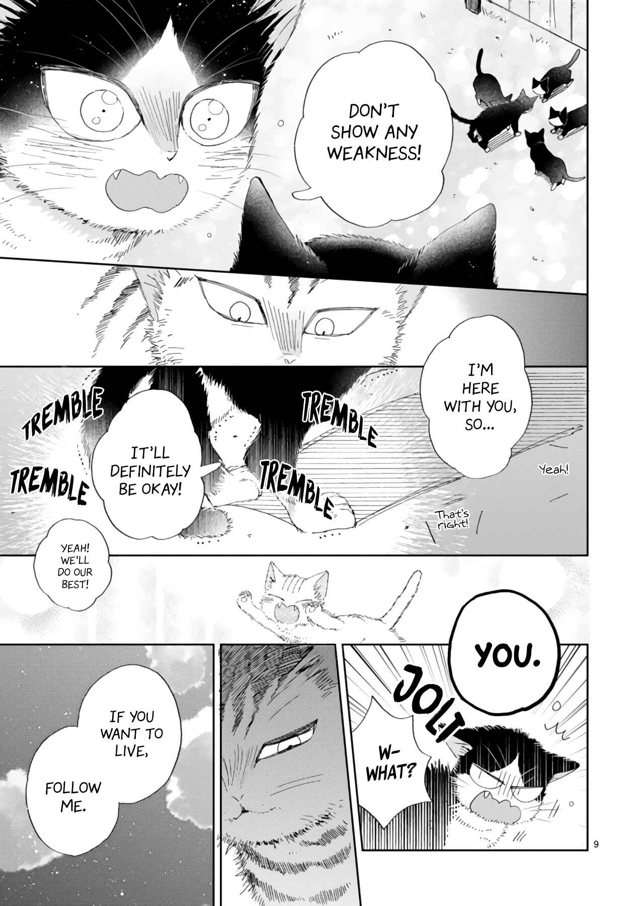 Page 11 Chapter 16.2 My Roommate Is a Cat