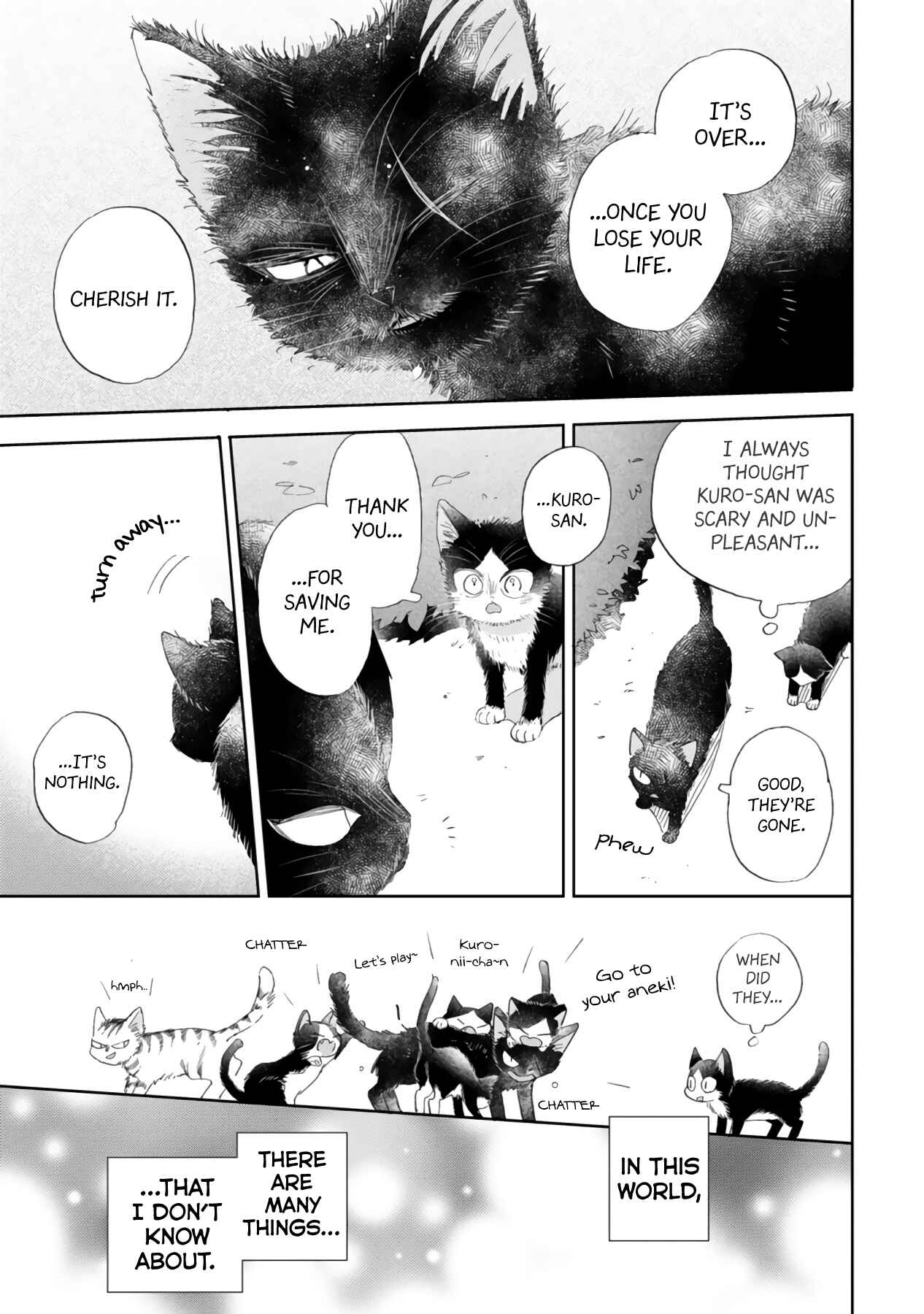 Page 17 Chapter 16.2 My Roommate Is a Cat