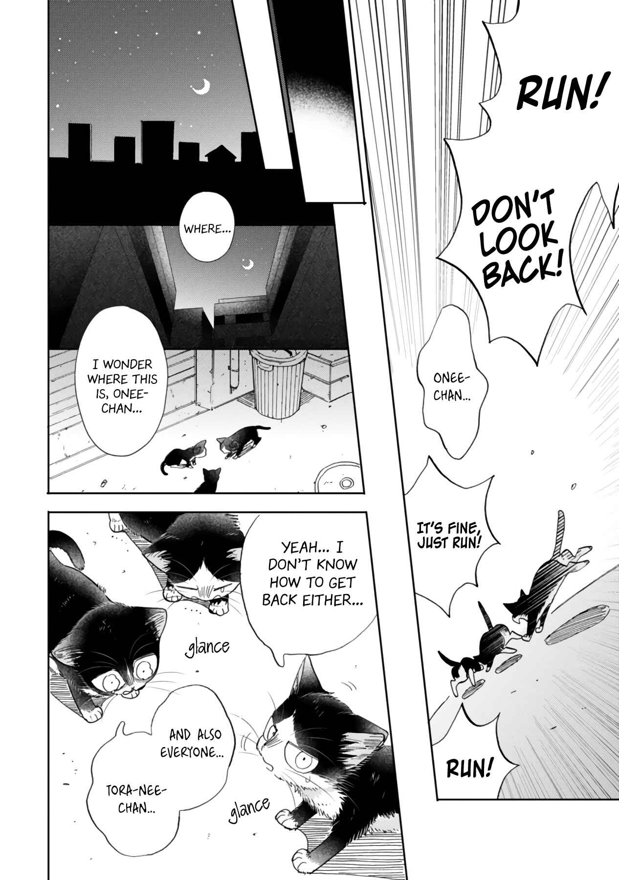 Page 24 Chapter 16.2 My Roommate Is a Cat