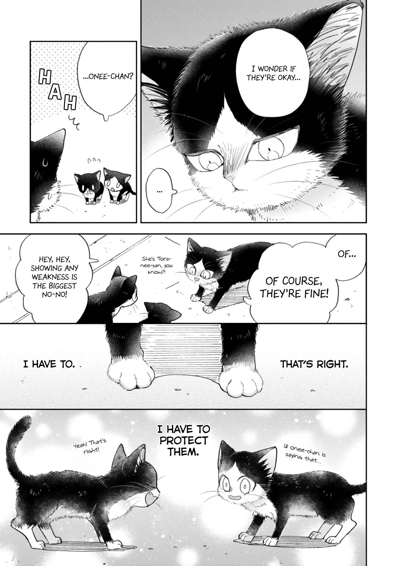 Page 25 Chapter 16.2 My Roommate Is a Cat