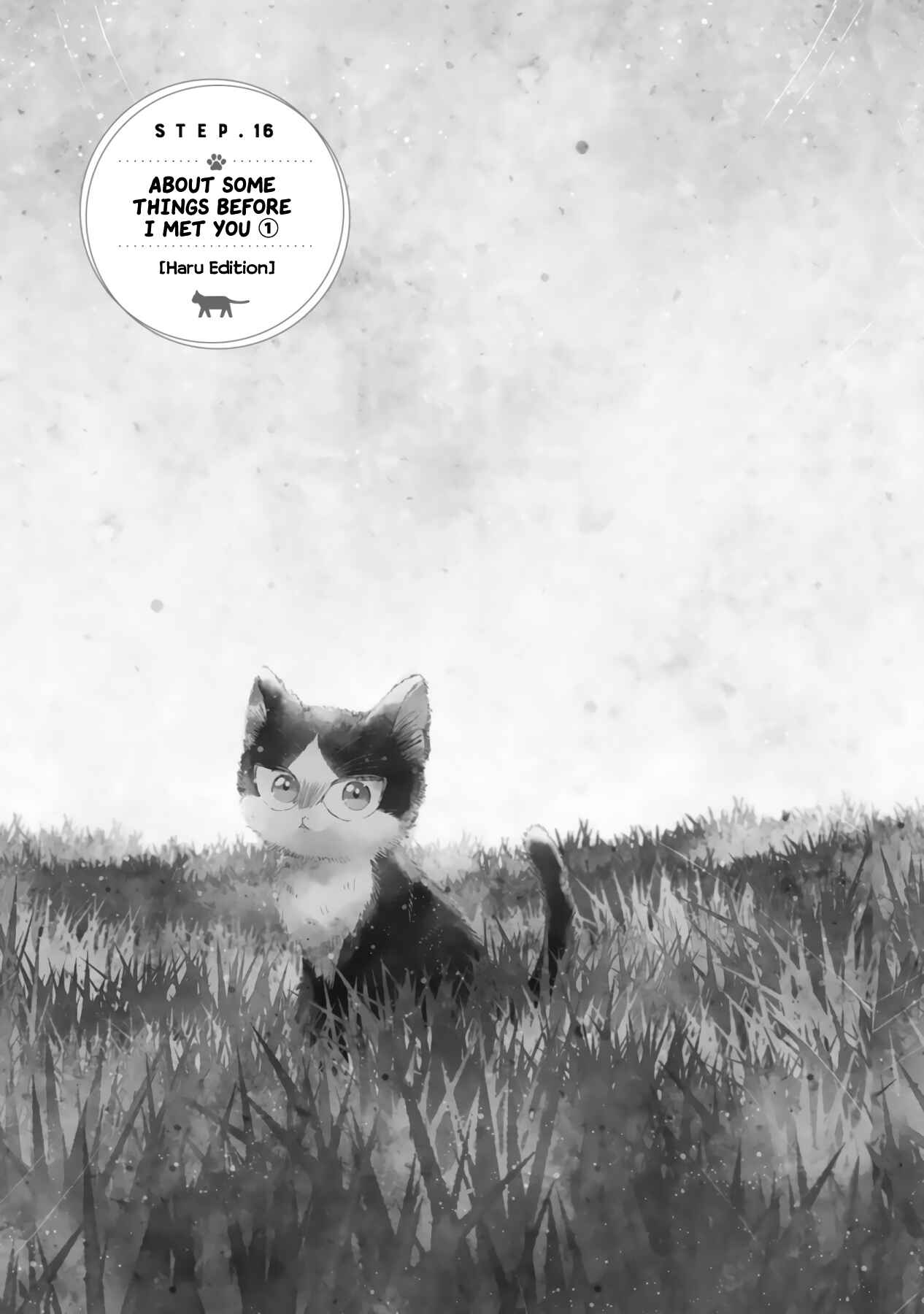 Page 5 Chapter 16.2 My Roommate Is a Cat