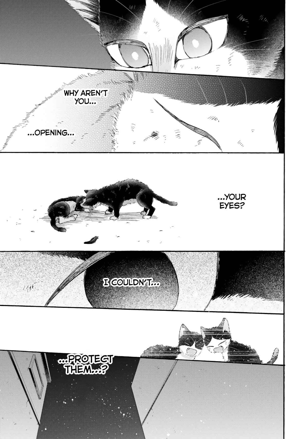 Page 13 Chapter 16.3 My Roommate Is a Cat