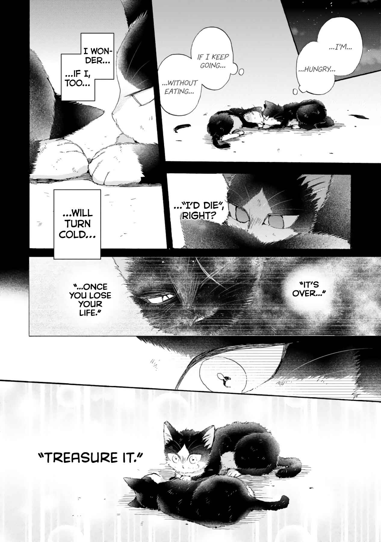 Page 14 Chapter 16.3 My Roommate Is a Cat