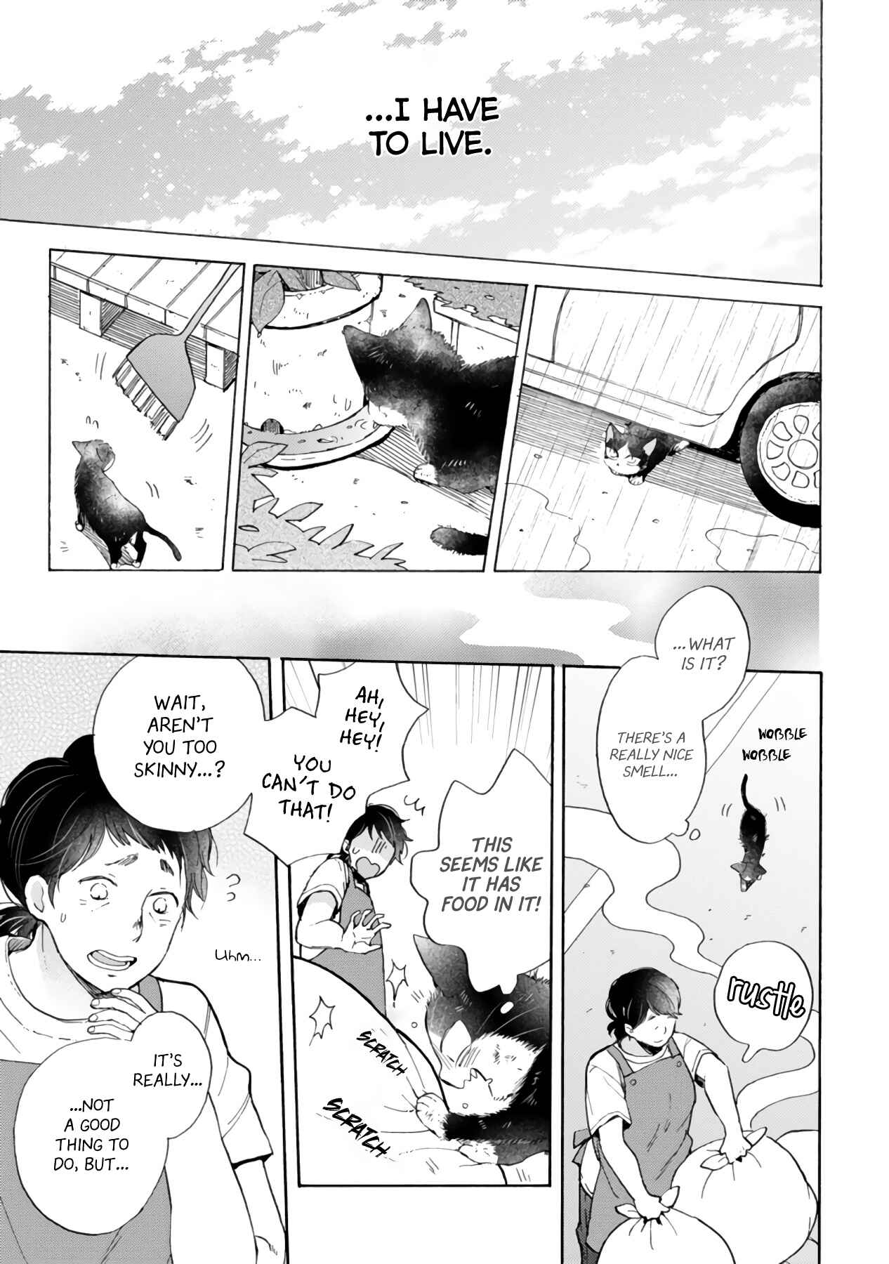 Page 17 Chapter 16.3 My Roommate Is a Cat