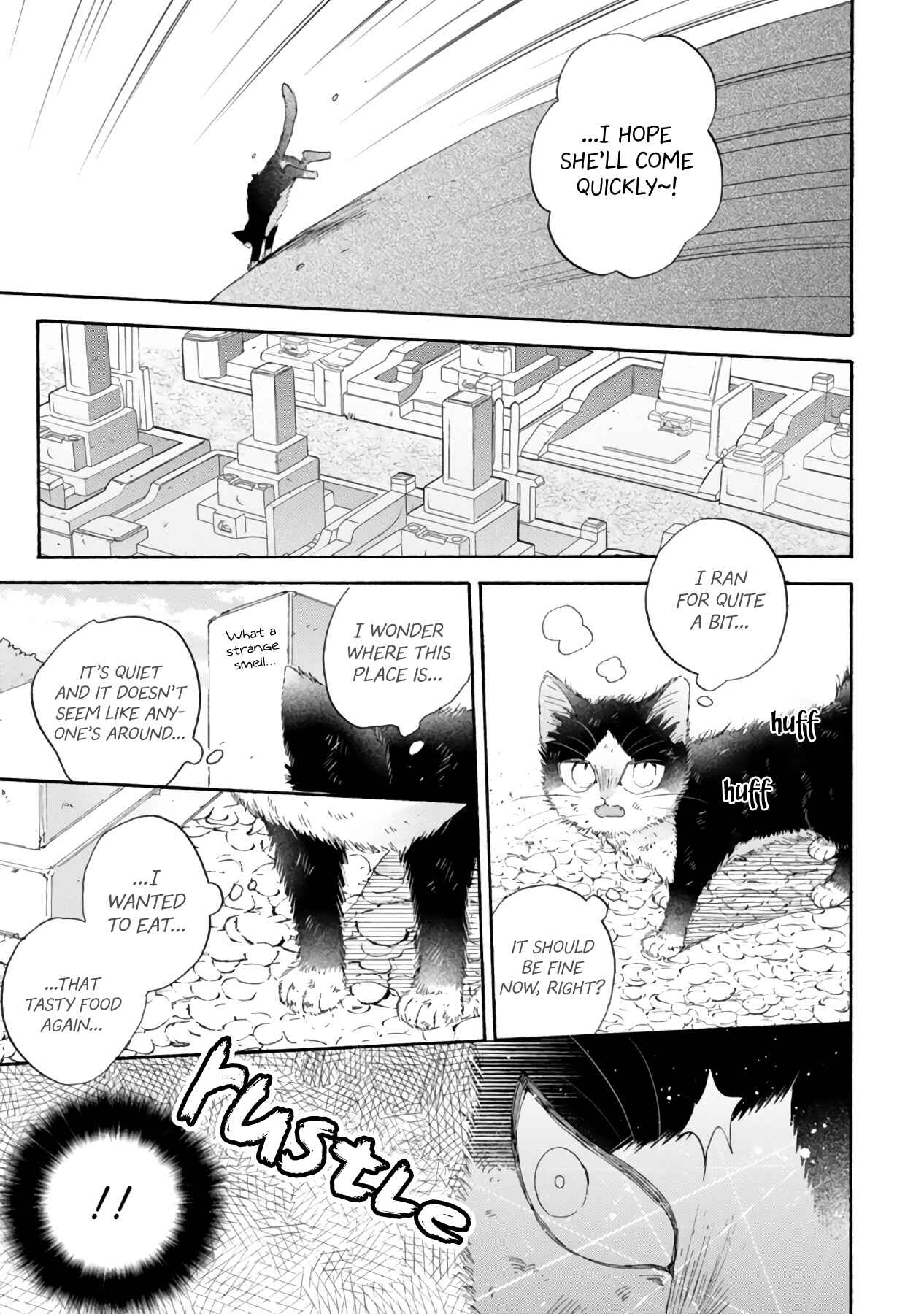 Page 23 Chapter 16.3 My Roommate Is a Cat