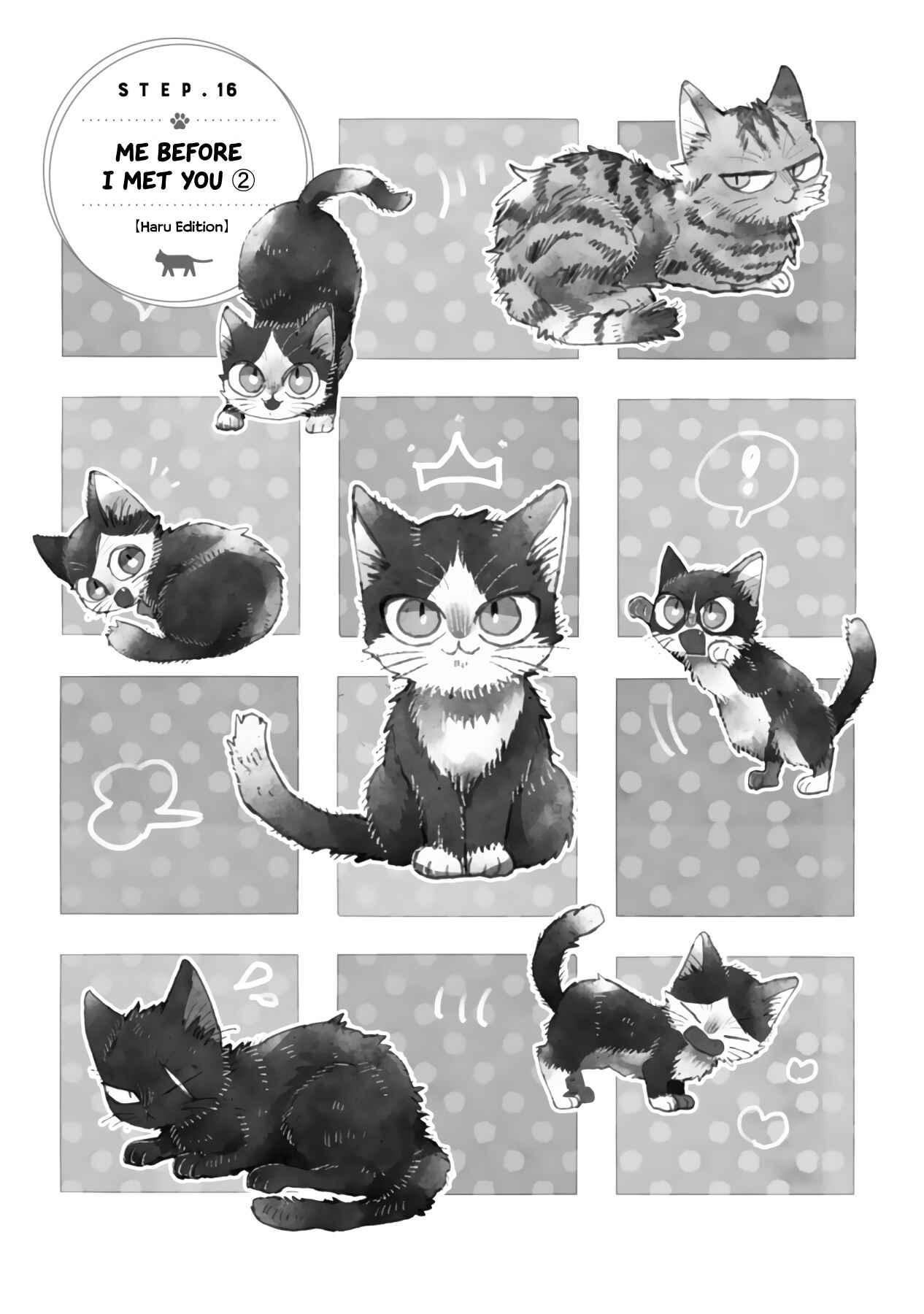 Page 3 Chapter 16.3 My Roommate Is a Cat