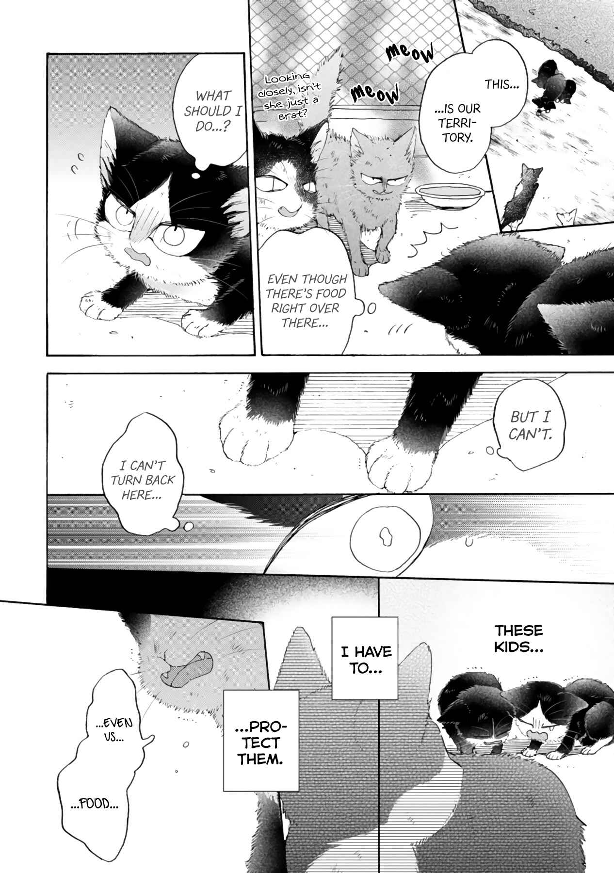 Page 4 Chapter 16.3 My Roommate Is a Cat