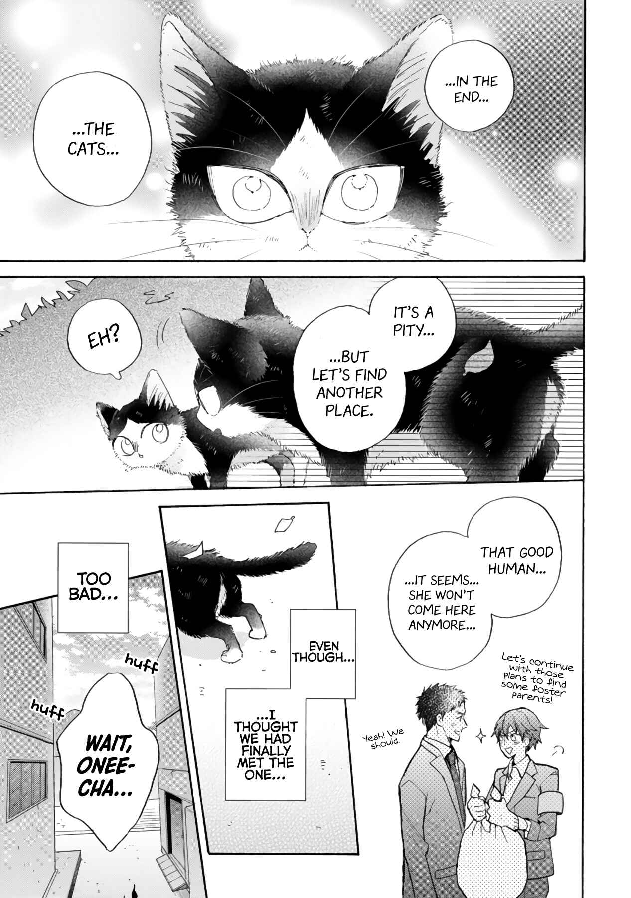 Page 9 Chapter 16.3 My Roommate Is a Cat